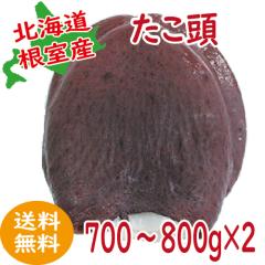 �����@�^�R�@�������@700�`800���~�Q�@�M�t�g�@2025�@��Ε�