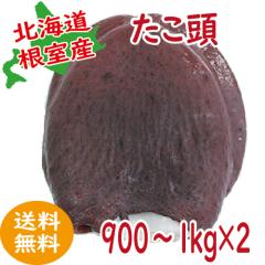 �����@�^�R�@�������@900�`1�����~�Q�@�M�t�g�@2025�@��Ε�