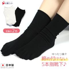 �������������`�� 5�{�w�\�b�N�X ���f�B�[�X ��100 �������������������ɉ��� �w�\�b�N�X �R�ۖh�L ���� 23-25cm ��324 ���z�j�b�g