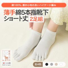 �i���F2���g�j�ܖ{�w�\�b�N�X ���� �V���[�g�� ��100 �R�� �h�L���H 5�{�w�\�b�N�X ���K �d�˗��� �₦��� �₦���C�� 23-25cm ��345-