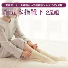 (2���g)��5�{�w�\�b�N�X �V���N100 �Ă͗����� �~�͂��������� �z�� ���� �R�� �h�L ���� �d�˗��� �₦ �₦�� ��S8-2p ���z�j�b�g