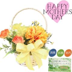 ���G�} �_���A �A�����W �C�G���[ ��C���� �R�� ���L �C���e���A �M�t�g ��̓� CT�G�}