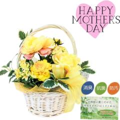 ���G�} ���i���L�����X �A�����W �C�G���[ ��C���� �R�� ���L �C���e���A �M�t�g ��̓� CT�G�}