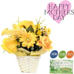 CT�G�}���H �Ԍ��t�A�����W�t�����[ �C�G���[ ��C���� �R�� ���L �C���e���A �M�t�g ��̓� ���G�}