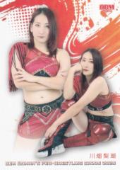 BBM ���q�v�����X�J�[�h 039 �씨���� (���M�����[�J�[�h/����I��) 2025