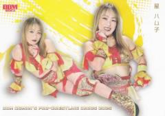 BBM ���q�v�����X�J�[�h 113 ���n���q (���M�����[�J�[�h/����I��) 2025