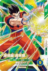 �h���S���{�[���X�[�p�[�_�C�o�[�Y SDVBS-002 ����сF�N�� (PR �v����)