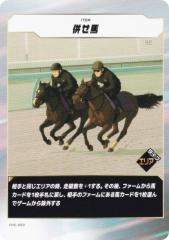 �t�H�[�X�E�I�u�E�U�E�z�[�X FHS-050 �����n (N �m�[�}��) �u�[�X�^�[�p�b�N��4�e GO FASTER