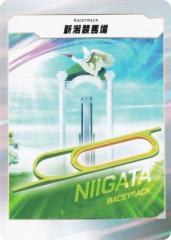 �t�H�[�X�E�I�u�E�U�E�z�[�X �V�����n�� Force of the Horse �X�^�[�^�[�L�b�g