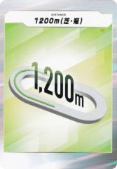 �t�H�[�X�E�I�u�E�U�E�z�[�X 1200���i�ŁE�Z�j Force of the Horse �X�^�[�^�[�L�b�g