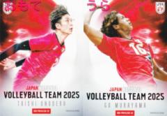 �yBOX PRIVILEGE 02 ���쎛 ���u/���R �� (�{�b�N�X���T�J�[�h) �z �o���[�{�[���j�q���{��\2025 �g���[�f�B���O�J�[�h