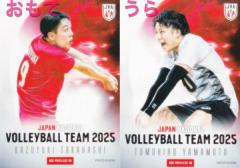 �yBOX PRIVILEGE 08 ���� �a�K/�R�{ �q�� (�{�b�N�X���T�J�[�h) �z �o���[�{�[���j�q���{��\2025 �g���[�f�B���O�J�[�h