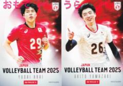 �yBOX PRIVILEGE 10 �V�� �Y��/�R�� ���s (�{�b�N�X���T�J�[�h) �z �o���[�{�[���j�q���{��\2025 �g���[�f�B���O�J�[�h