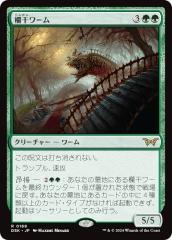 FOIL/ボーダーレス版】マジックザギャザリング BLC JP 0078 闇の