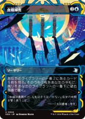 マジックザギャザリング ELD JP 059 選択 (日本語版コモン) パイオニア