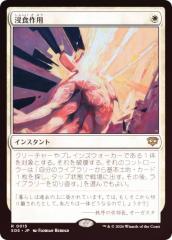 FOIL】マジックザギャザリング SLD JP 1596 調和 (日本語版 レア