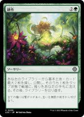 MTG マジック：ザ・ギャザリング 猛然たる顕現 アンコモン 基本