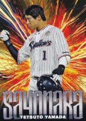 NPB ベースボールカード SA-7 山田哲人 東京ヤクルトスワローズ