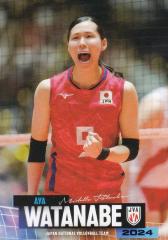 �yRG20 �n粍� (���M�����[�J�[�h) �z �o���[�{�[�����q���{��\ 2024 �g���[�f�B���O�J�[�h