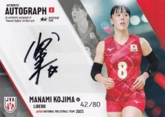 �y[42/80] �������ؔ� (�X�[�p�[���A�J�[�h�F���M�T�C���J�[�hA)�z �o���[�{�[�����q���{��\ 2025 �g���[�f�B���O�J�[�h