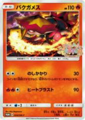 �y�v���C�p�z�|�P�����J�[�h�Q�[�� SMP 054/SM-P �o�N�K���X(�v����) �y���Áz