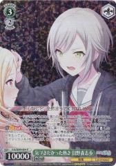 ヴァイスシュヴァルツ アニメ ソードアート・オンライン 10th