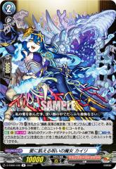 ���@���K�[�h D-TB06/038 ���ɋQ����􂢂̖��� �J�C�� (R ���A) �^�C�g���u�[�X�^�[��6�e �����X�^�[�X�g���C�N Vol.2