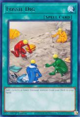 PSA10 昆虫人間　ベーシックインセクト　遊戯王　初期 71H3qXoHieL._AC_SY200_QL15_.jpg