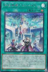 �V�Y�� DUAD-JP054 �_�|�w�s�A���g���M�A (���{��� �V�[�N���b�g���A) �f���G���X�g�E�A�h�o���X