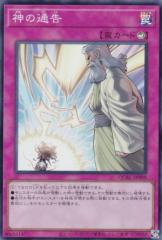 遊戯王カード メギストリーの儀術師(ノーマル) ライジング
