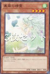 �y3���Z�b�g�z�V�Y�� DBPR-JP028 �����̐��� (���{��� �m�[�}��) �f�b�L�r���h�p�b�N �t�@���g���E���x���W���[�Y