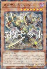 �y3���Z�b�g�z�V�Y�� DBPR-JP005 ���������u���A�X (���{��� �m�[�}���p������) �f�b�L�r���h�p�b�N �t�@���g���E���x���W���[�Y