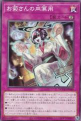 �V�Y�� DOOD-JP080 ���e����̎M�Z�p (���{��� �m�[�}�����A) �h�D�[���E�I�u�E�f�B�����V�����Y