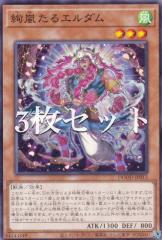 �y3���Z�b�g�z�V�Y�� DOOD-JP013 ��������G���_�� (���{��� �m�[�}��) �h�D�[���E�I�u�E�f�B�����V�����Y