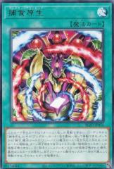 遊戯王カード インセクト女王 DP19 | インセクト クイーン 地属性 昆虫
