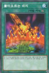 遊戯王 15AY-KRA31 燃えさかる大地 (韓国版 ノーマル) 決闘王の記憶—決闘都市編—