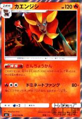 �y���Áz962886/�J�G���W�V�y016�094 R�z/��