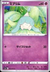 �y���Áz240391114/�~�u�����y������āz/��