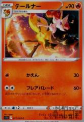 �y���Áz240806878/�e�[���i�[�y�������ڱ��ڰ�ށz/��