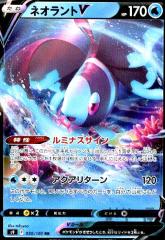 �y���Áz966447/�l�I�����g�u�y030�100 RR�z/��