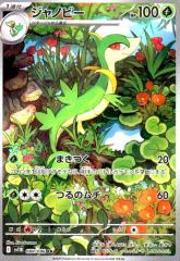 �y���Áz240820244/�W���m�r�[(088/086 AR)