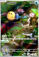 �y���Áz240820263/�I�^�}��(107/086 AR)