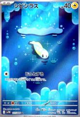 �y���Áz240820273/�V�r�V���X(117/086 AR)