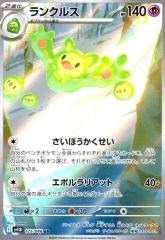 �y���Áz240820281/�����N���X(125/086 AR)