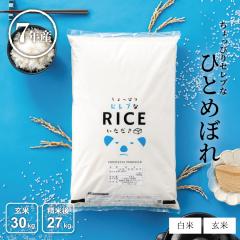 �� ���� 30kg ������҂�Z���u�ȂЂƂ߂ڂ� �����Y �ߘa7�N�Y ����30g ���Č�27kg ���߂���