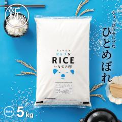 V   5kg ҂ZuȂЂƂ߂ڂ  Y ߘa7NY  5kg~1 ߂