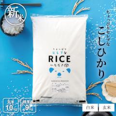 V   10kg ҂ZuȃRVqJ Y ߘa7NY 4.5kg~2 Ђ 10kg 9kg ߂