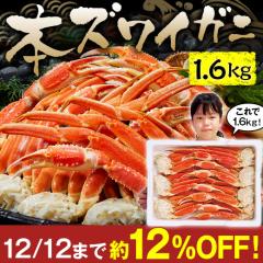   Jj I YC 킢 {C YCKj r 1.6kg Jj ăKj Ⓚ Ε 2025 2026 v[g Mtg 蕨 y