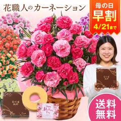 ���� ��̓� �v���[���g �� 2026 �\�� �M�t�g �J�[�l�[�V���� �Ԕ� ���A�� �X�C�[�c ���َq �o�E���N�[�w�� �Z�b�g ��������Ȃ� 5�� ��