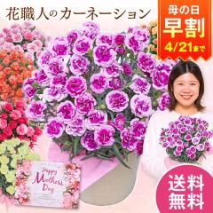 ���� ��̓� �v���[���g �� 2026 �\�� �M�t�g �J�[�l�[�V���� �Ԕ� ���A�� �I���t�B�J 5�� ��̓����Ԃ��͂� �y���������z